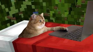 Memes to watch in your bed