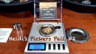 ⛏Heidi's Pickers Paradise Pail #2! GOLD Paydirt & Copper Nuggets from Heidi & Conan Gold Prospecting