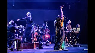 Electric Fields - Shade Away (Live in Melbourne with Melbourne Symphony Orchestra)