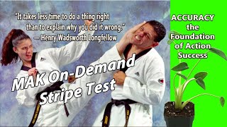 Power Turtles and Tiny Tigers On-Demand Video Class - 2023 Cycle 2 Month 3 STRIPE TEST