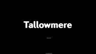 Tallowmere in 2024, A Still Good Action Roguelike? – Tallowmere –