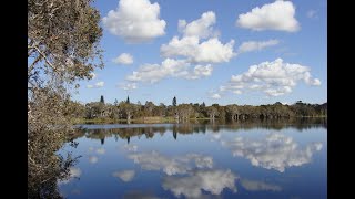 A Central Park for Your Soul