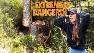 Cutting a MASSIVE TREE for our FLOATING STAIRCASE (DANGEROUS!) #diy #build #custom