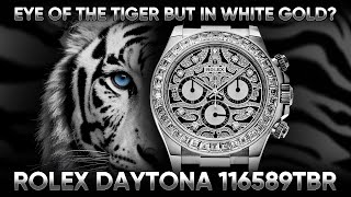 Eye of the tiger but in white gold? Rolex Daytona 116589TBR