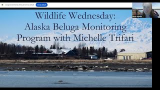 Wildlife Wednesday: AKBMP