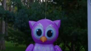 Canon Eos M Video Test | 1080p 24p 18-55mm Kit lens