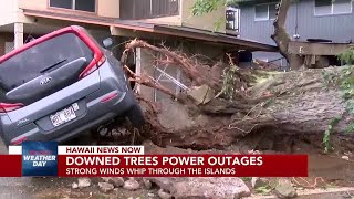 Downed trees, power outages from powerful winds reported across Hawaii