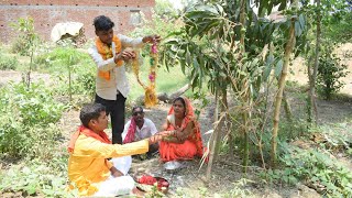 Mango wedding ऐसा विवाह आज तक आपने देखा नहीं होगा !!Rk world comedy video!!