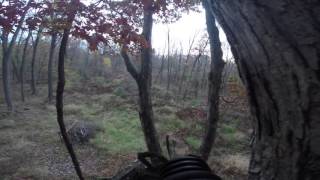 Joe Ostervik 10 21 15 bow kill