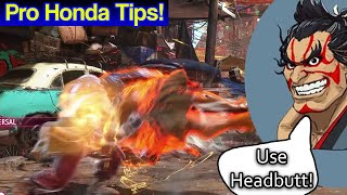 Honda Physics