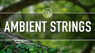 Ambient Strings - Relaxing String Music Instrumental - Fantasy Forest Video with Calming Music