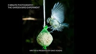 5 Minute Photography: The Garden Bird Experiment