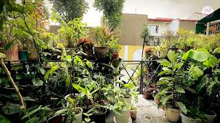 Enjoying The Quiet Mini Garden Moments with Lofi Music | Morning Lofi Hip Hop Playlist