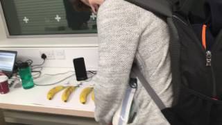 Will Priddis playing the bananas | Pearl Moments