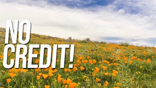 Seller Financing Land for Sale | No Credit
