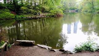 Central Park  -  New York