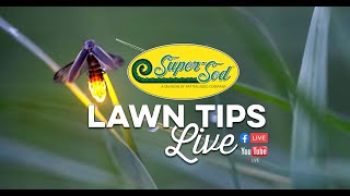 June Lawn Tips Live at Super-Sod of Cary, North Carolina  - Lawn Care Advice for the Southeast