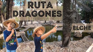 Ruta Dragones Elche #turismo  #patrimoniodelahumanidad