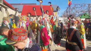 Malanca Harmanestii Vechi  2023-2024