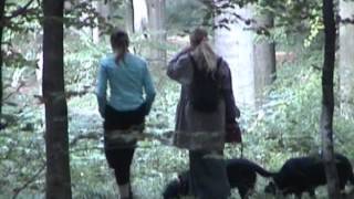 011013 - Walk in Forest.avi