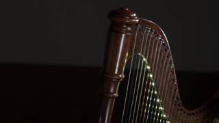 "The Jahzara" 30 String Folk Harp by Sweeney Creations - Danny Boy