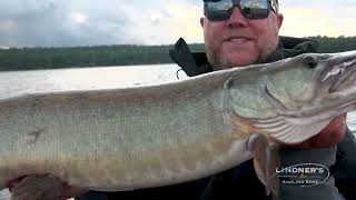 Winnipeg River Muskies