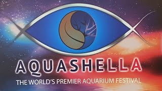 Live from Aquashella Orlando 2021