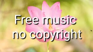 You_Are_My_Rainbow ||copyright free music for youtube video