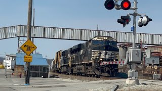 NS 8137 leads 38G at CP Colfax