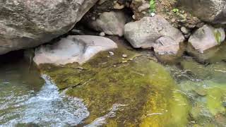 Iao Valley, Maui in 2025