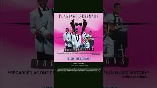FLAMINGO SERENADE - Begin The Beguine