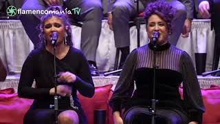 2025 - This is how Jerez sings at Christmas - 14 - The party has arrived