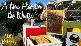 Sept 28nd 2018 - The Swarm trap Hive - Matt's Vlog #116