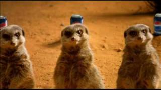 Mischievous Meerkats - Pepsi Football