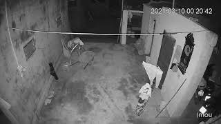 Demo - Camera ip imou F22P 2.0Mpx | NVSMART CAMERA 08 5750 5750