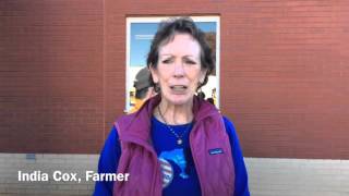 Interviews with voters at the Powhatan Company 1 Fire Department polling station