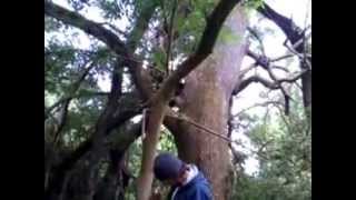 video 2014 07 03 07 47 10