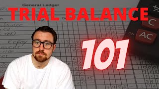 ACCOUNTANCY BASICS: Trial Balance explained