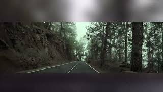 Wolf Beck & Amadalia - Hondura