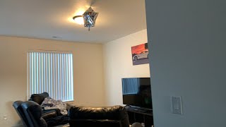 LIVE ELECTRICAL WORK: Switch Box Removal & Additon! (Part 1)