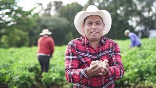 Sembrando el futuro de nuestra tierra - La Viña