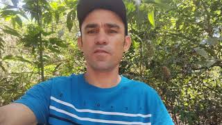 comenta aí quem gosta do Vaqueiro Viana