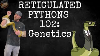 A Beginners Guide to Reticulated Python Part 2: Genetics and Aesthetics