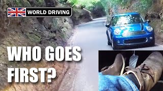 Narrow Country Roads: How to Judge Tight Gaps Safely