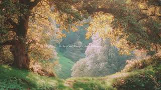 a dreamy piano playlist for tea and reading