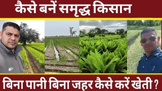 How to double the yield by farming without poison and without irrigation?