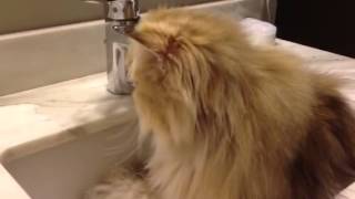 Sink Time with Trip