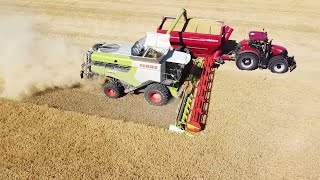 Harvesting barley with Fire 4x Claas Lexion 2025