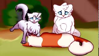 Strawberry Blonde \\ 24-hr PMV MAP Part 5