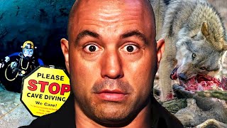 10 TERRIFYING Survival Joe Rogan Stories To Fall Asleep To